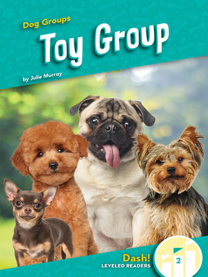 cover image of Toy Group